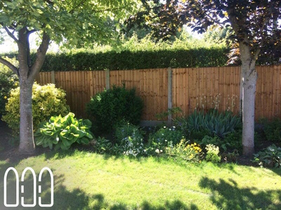 Replacement of close board fencing
